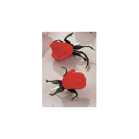 Roses à piquer