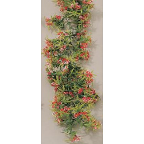 Guirlande de fleurs de la passion